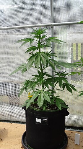 Growreport Bild 3