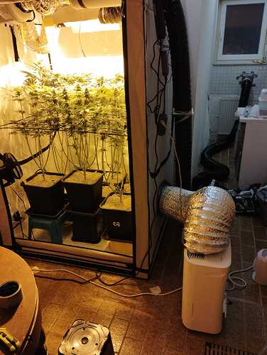 Growreport Bild 3