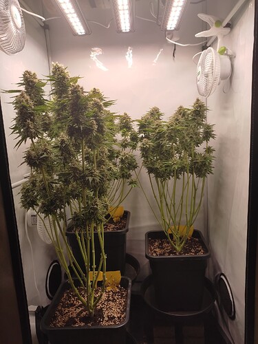 Growreport Bild 18