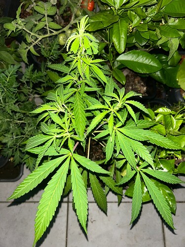 Growreport Bild 10