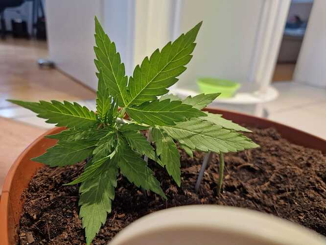 WhatsApp Image 2024-05-18 at 09.06.33