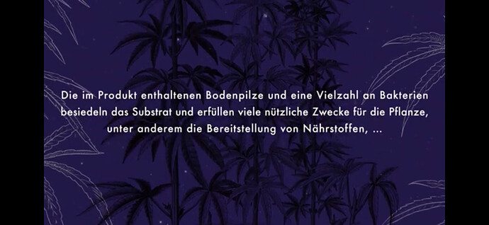 Growreport Bild 18
