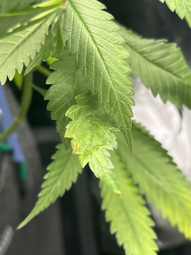 Growreport Bild 9