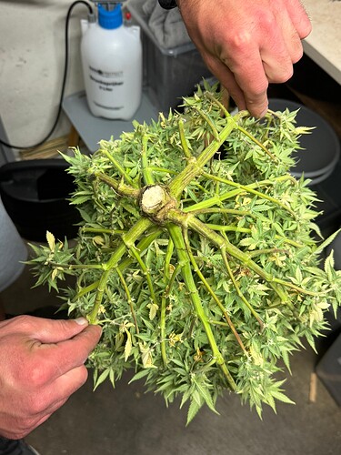 Growreport Bild 48