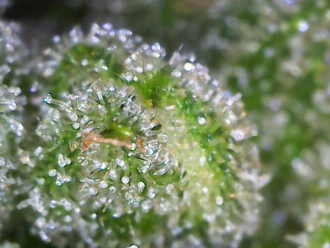Growreport Bild 16