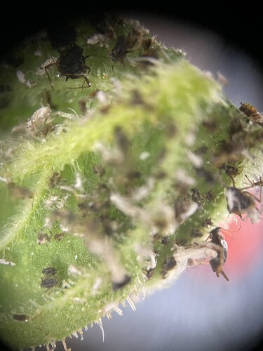 Growreport Bild 4