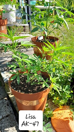 Growreport Bild 20