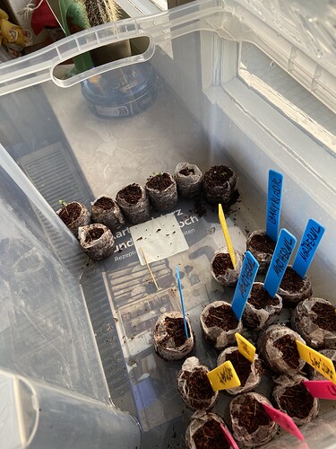 Growreport Bild 2