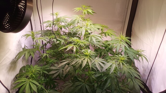 Growreport Bild 6