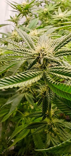 Growreport Bild 14