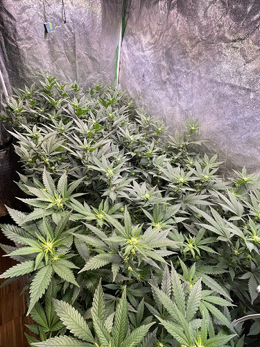 Growreport Bild 12