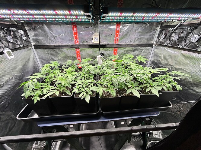 Growreport Bild 8