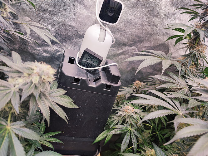 Growreport Bild 10