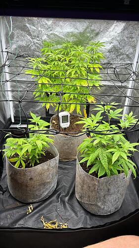 WhatsApp Image 2024-07-31 at 13.50.19