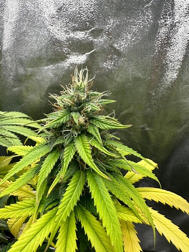 Growreport Bild 12
