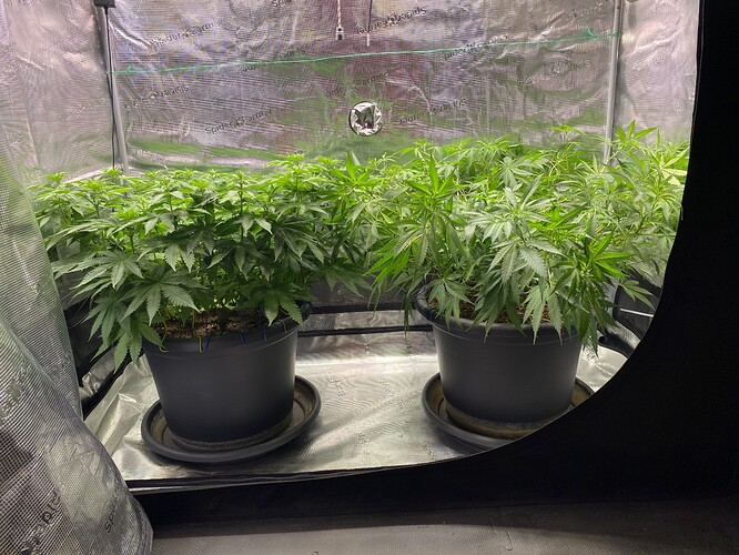 Growreport Bild 2