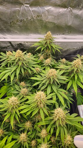 Growreport Bild 21