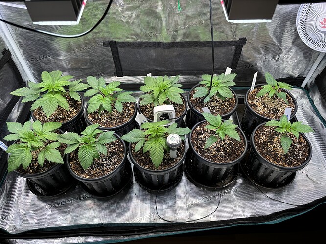 Growreport Bild 10