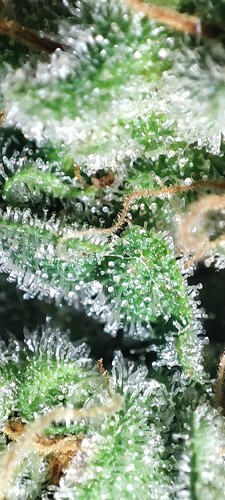 Growreport Bild 23