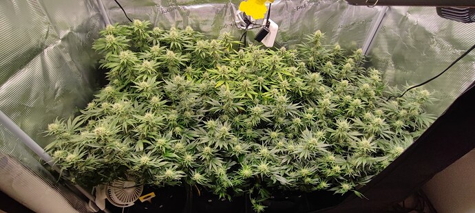 Growreport Bild 22