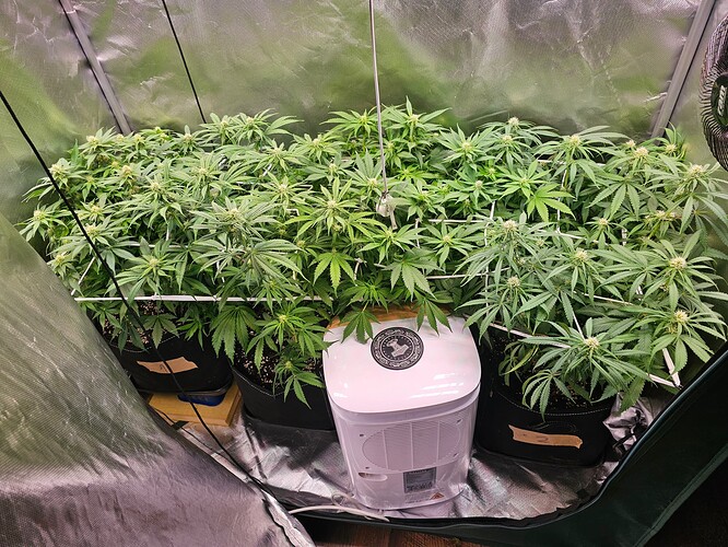 Growreport Bild 15