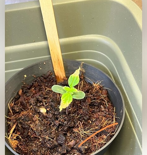 Screenshot_20240504_204820