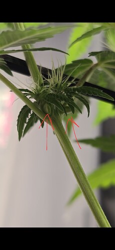 Growreport Bild 12