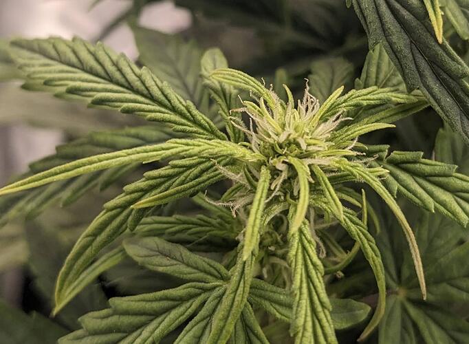 Bildschirmfoto 2024-05-22 um 00.38.04