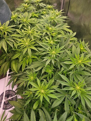 Growreport Bild 18