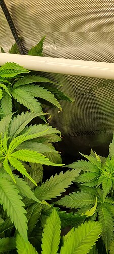 Growreport Bild 6