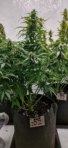 Growreport Bild 20