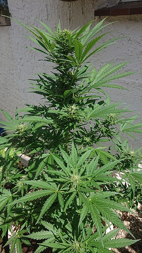 Growreport Bild 26