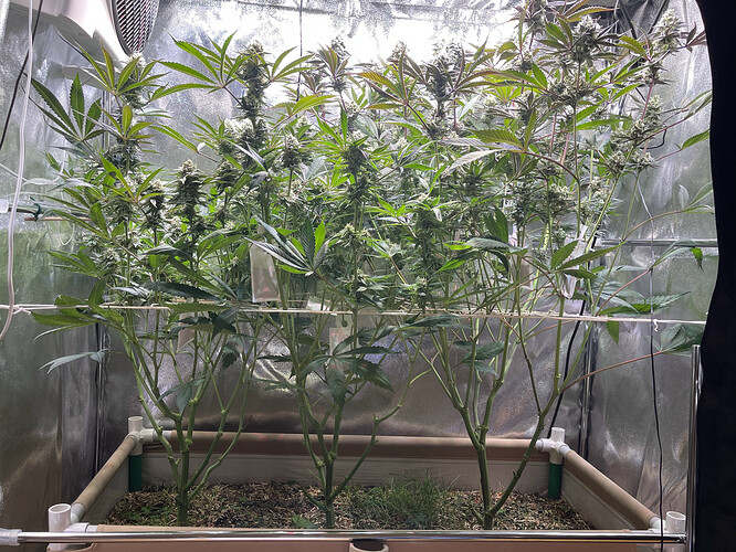 Growreport Bild 17