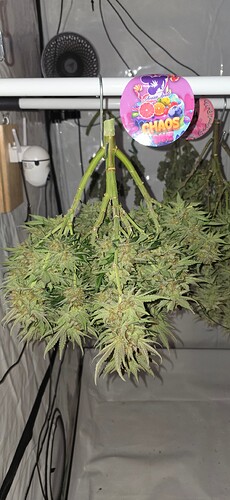 Growreport Bild 14