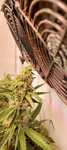 Growreport Bild 8