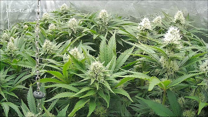 Growreport Bild 30