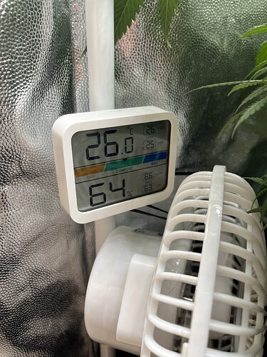 Growreport Bild 6