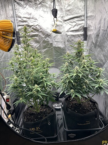 Growreport Bild 6