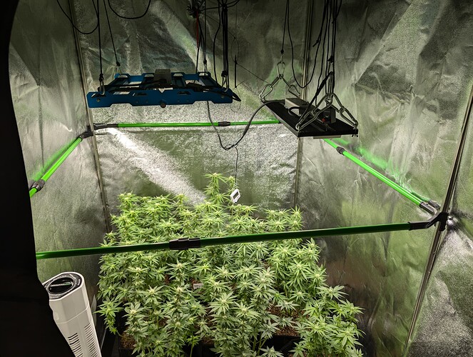 Growreport Bild 9