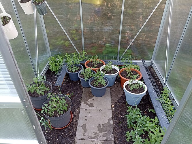 WhatsApp Bild 2025-04-28 um 08.26.21_d7591f34