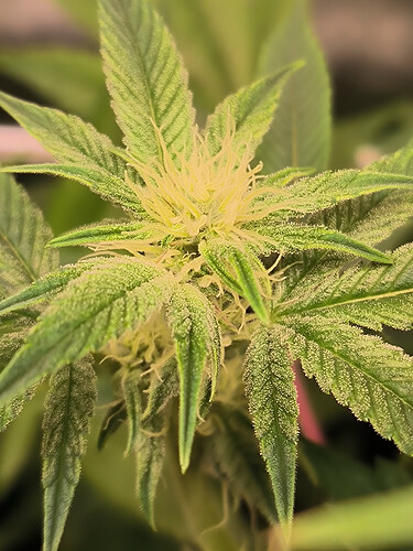 Growreport Bild 7