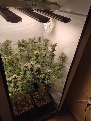 Growreport Bild 25