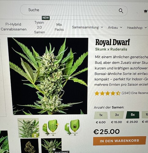 Growreport Bild 5