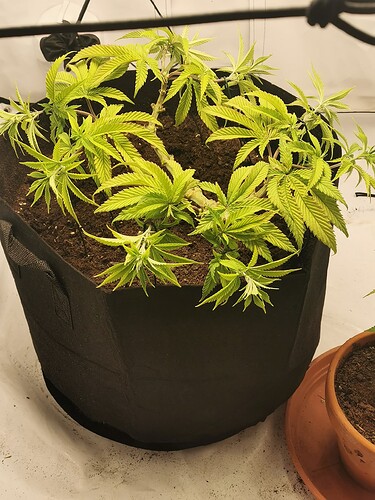 Growreport Bild 4