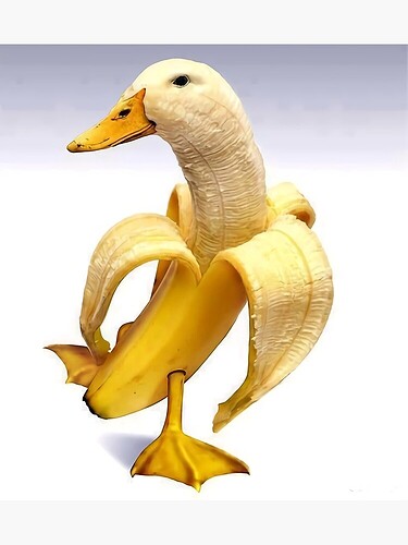 Eine künstlerische Darstellung einer Ente, deren Körper aus einer geschälten Banane besteht.