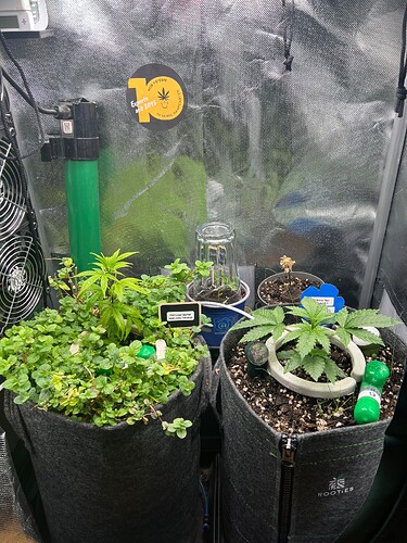 Growreport Bild 10