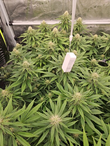 Growreport Bild 8