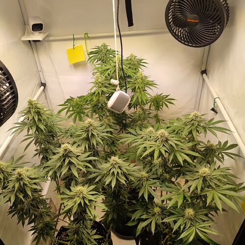 Growreport Bild 18
