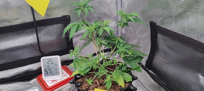 IMG_20250929_103044369