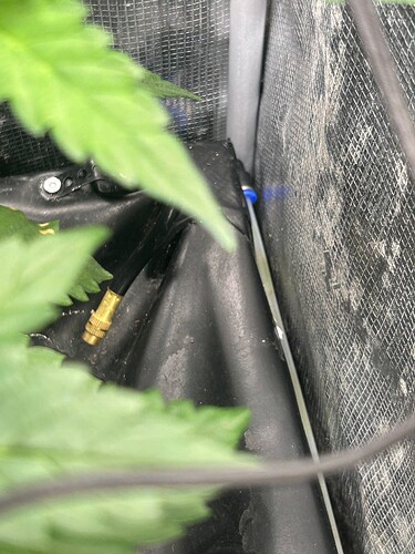 Growreport Bild 41